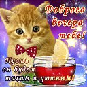 ���� ������������, �������, 59 ��� - ��������� 1 ������ 2016 � ������ ������ ��������