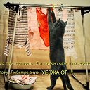���� Okci, ������, 48 ��� - ��������� 18 ������� 2016 � ������ ������ ��������