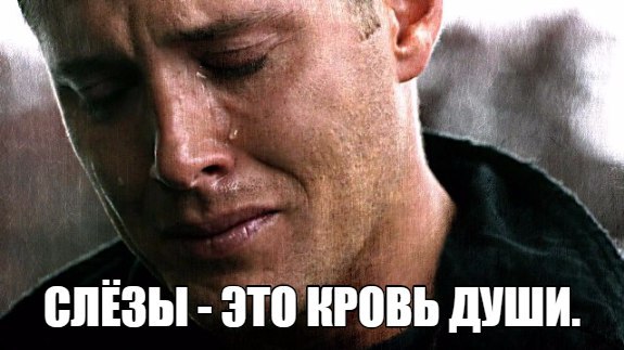 .https://fotostrana.ru/away?to=/sl/kxC2 - 31 ������� 2016 � 20:44