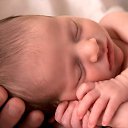 ���� �����, ���������, 61 ��� - ��������� 27 ������� 2017 � ������ ������ ��������
