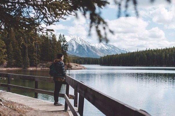 ,     ,      .   ,   ...