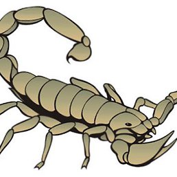 Skorpio, ����, 34 ����