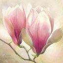 ���� �����, ���������, 44 ���� - ��������� 4 ����� 2017 � ������ ���� �������� ������