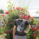 ���� �����, ������, 35 ��� - ��������� 9 ����� 2017 � ������ ���� ����������