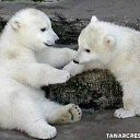 ���� ���, ������ - ��������� 30 ������� 2016 � ������ ���� ����������