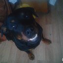 ���� ��������, ����������, 57 ��� - ��������� 8 ������� 2016 � ������ ���� ����������