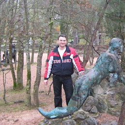 ����,2010