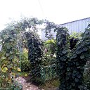 ���� ���������, ���������, 74 ���� - ��������� 29 ������ 2016 � ������ ���� ����������