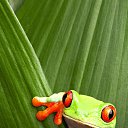 ���� @�@, ����� - ��������� 21 ������� 2016 � ������ ���� ����������