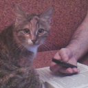 ���� ������, ����, 43 ���� - ��������� 30 ������ 2016 � ������ ���� ����������