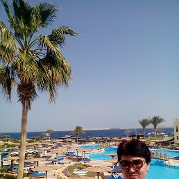 ���� ������, �����-���������, 62 ���� - ��������� 24 ����� 2017