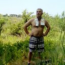 ���� ����� ������� ����, ��������� - ��������� 28 ������� 2016 � ������ ���� ����������