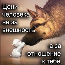 ���� ����, ������, 57 ��� - ��������� 28 ������ 2017 � ������ ������ ��������