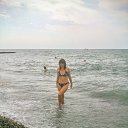 ���� �����, ���� - ��������� 3 ������ 2016