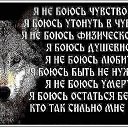 ���� ������, ������, 46 ��� - ��������� 18 ������� 2017 � ������ ���� ����������