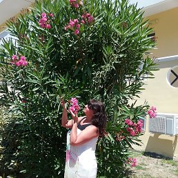 ������, ������������, 57 ���