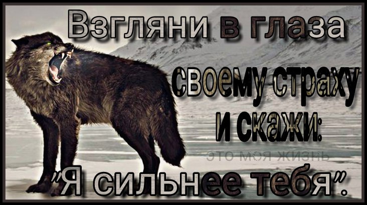   - 15  2017  18:12