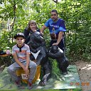 ���� �������, �����������, 49 ��� - ��������� 17 �������� 2016 � ������ ���� ����������