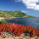 ���� �����, ������ - ��������� 2 ����� 2017 � ������ ������ ��������