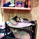 ���� �������, ����������� - ��������� 22 ������� 2016 � ������ ���� ����������