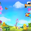 ���� ������ �����������, ���, 52 ���� - ��������� 6 ����� 2017 � ������ �������� �������-�������