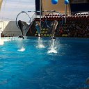 ���� Aleksei, �����-���������, 48 ��� - ��������� 9 ������� 2016 � ������ ������ ��������