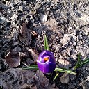 ���� �������, ������, 58 ��� - ��������� 14 ����� 2017 � ������ ���������� �����