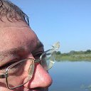 ���� ����� �����, ������ - ��������� 26 ����� 2017