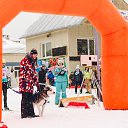 ���� �������, �����, 76 ��� - ��������� 7 ������� 2017 � ������ ������ ��������