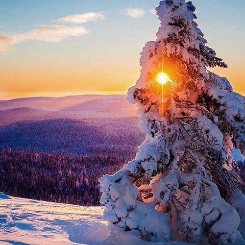 Почитай каждый встающий день. Не думай о том, что будет через год, через десять лет. Думай о ...
