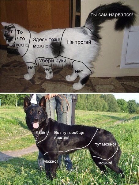      ,   ...