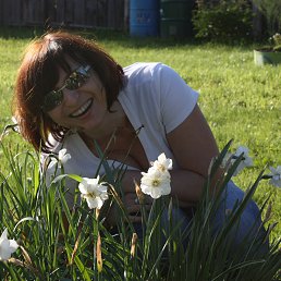 �����, �����