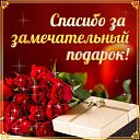���� ����, �����-���������, 46 ��� - ��������� 19 ������ 2016 � ������ �������� ��������