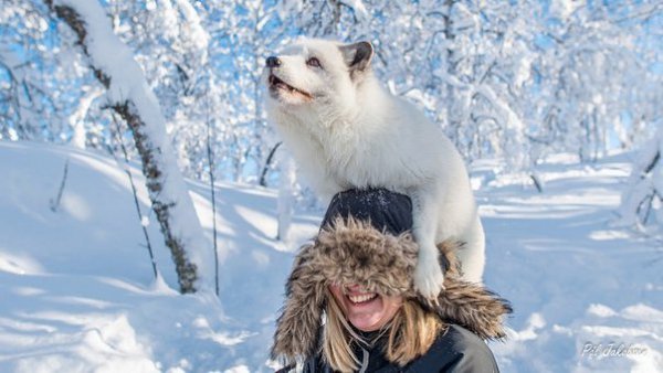 ���� �������� ���. ����������� ������! - 3