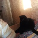 ���� ��������, ������ �������� - ��������� 15 ������� 2016 � ������ ���� ����������