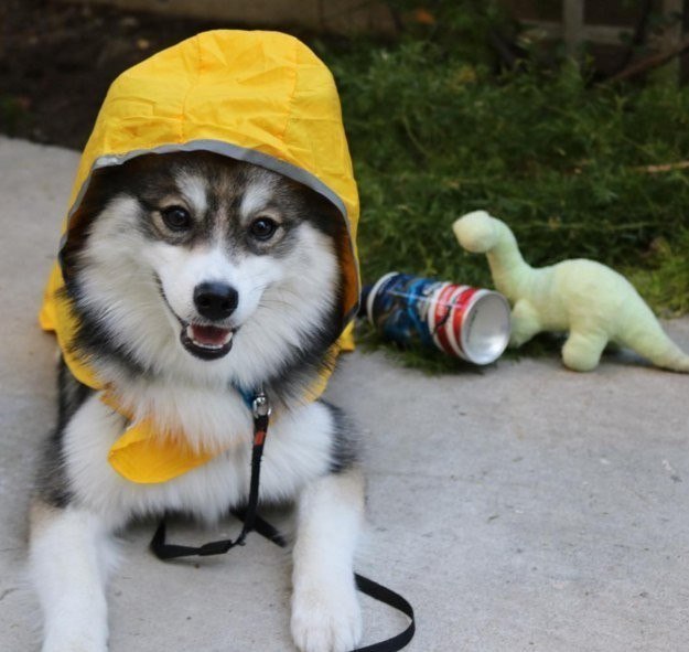 �����������, ��� ������ � ����� �������������� ����������� ����� �� �����. ���� �� ����� ����� ����� ... - 7