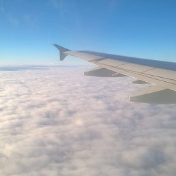 Anna, ������, 41 ���