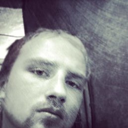 ���� ������, �����-���������, 33 ���� - ��������� 15 ������� 2016