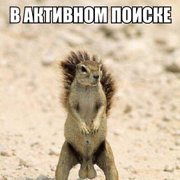 ���������, ����, 55 ���