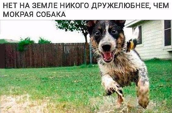      ...)) - 4