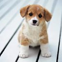 ���� ��������, ����� - ��������� 29 ������ 2017 � ������ ������ ��������