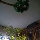 ���� �����, �����������, 67 ��� - ��������� 28 ����� 2017