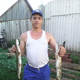 ������, ��������, 51 ���