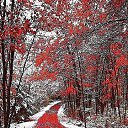 ���� ����, ������, 46 ��� - ��������� 3 ������ 2017