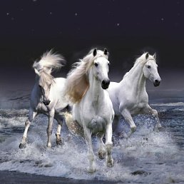 ������������, ������