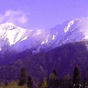 ���� �����, ����� - ��������� 19 �������� 2016 � ������ ���� ����������