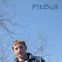  Pitbull, , 37  -  11  2017    