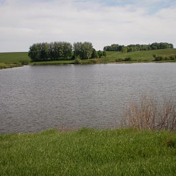 ���� Viktor, ������������, 63 ���� - ��������� 25 ������� 2017