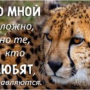 ���� Ilqar, ����, 58 ��� - ��������� 15 ������ 2016 � ������ ���� ����������