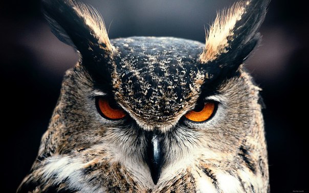 20   ,    .     10000    ...